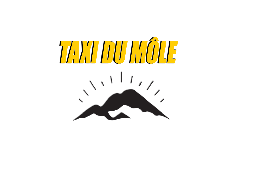 Logo Taxi